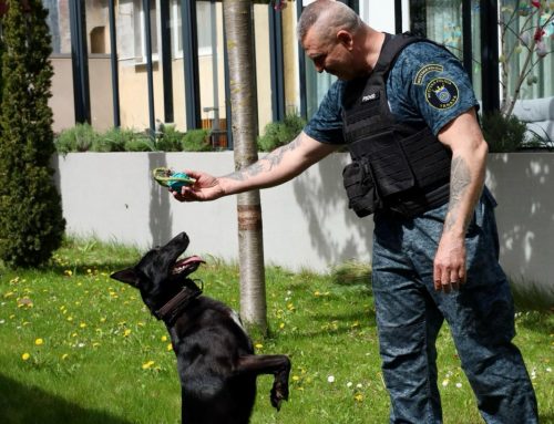 Prevencia proti kriminalite č.2