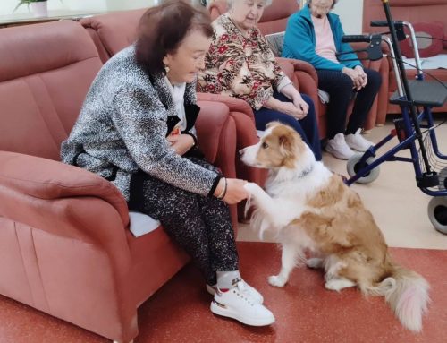 Canisterapia so študentkami DofE