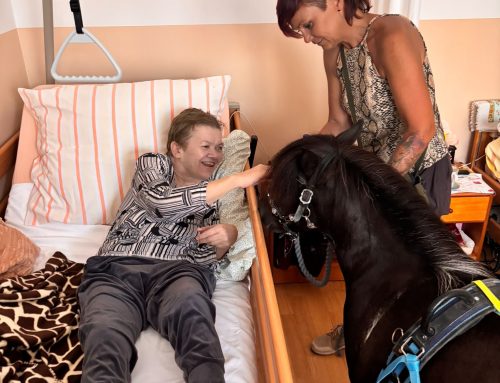 Individuálna hipoterapia s poníkom Šantal🐴