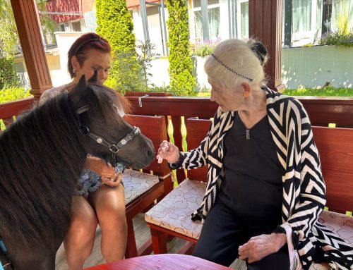 Hipoterapia – poník Šantal🐴