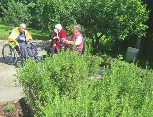 Prvky aromaterapie – rozmarín🌿