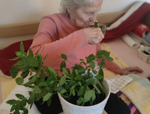 Zmyslová aktivita – Aromaterapia